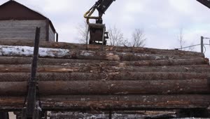 Download Free Stock Video Removing Logs From A Truck Live Wallpaper
