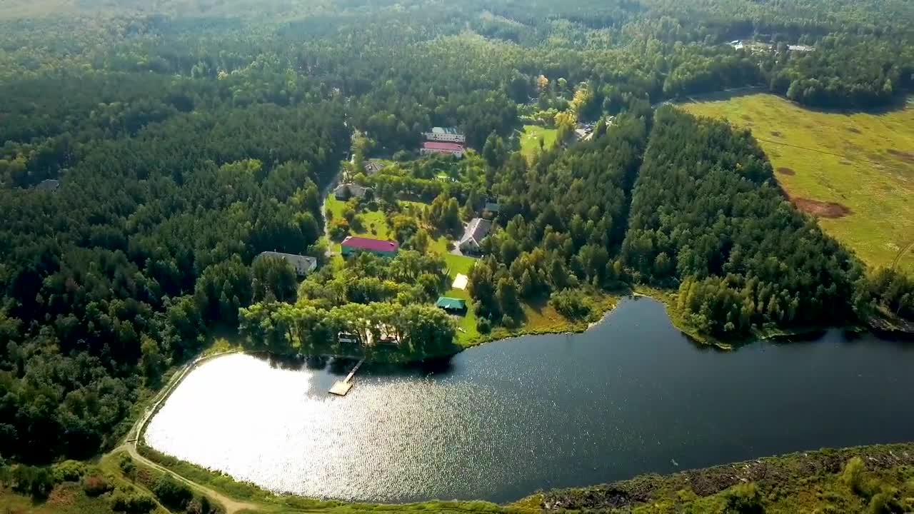 Download Free Stock Video Resort Deep In A Forest Live Wallpaper