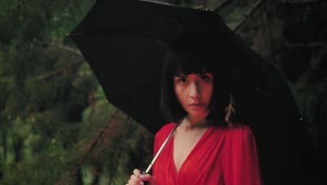 Download Free Stock Video Reverse Video Of A Young Woman With Umbrella In The Live Wallpaper