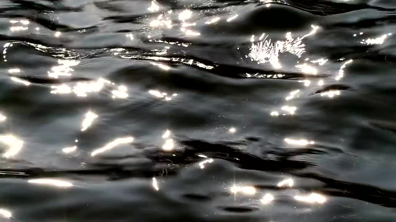 Download Free Stock Video Ripples Across A Pool Live Wallpaper