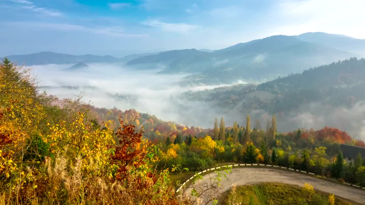 Download Free Stock Video Road Curve On An Autumn Forest Live Wallpaper