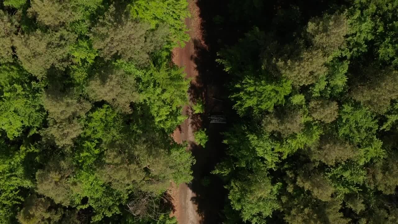 Download Free Stock Video Road Through A Pine Forest Seen From Above Live Wallpaper