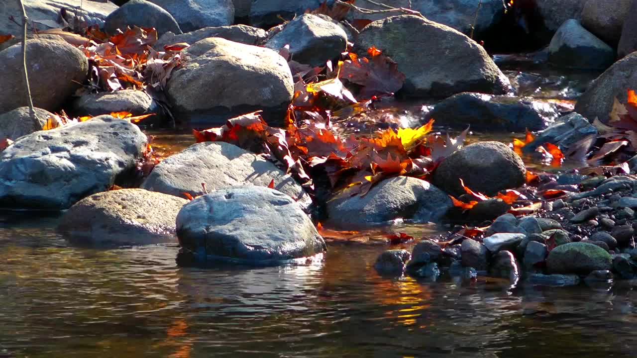 Download Free Stock Video Rocks In A River In Autumn Live Wallpaper