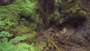 Download Free Stock Video Rocky Cliffs In The Middle Of A Forest Live Wallpaper