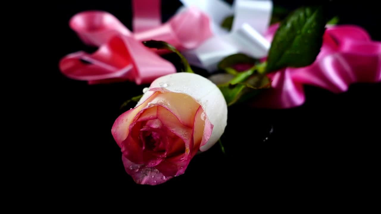 Download Free Stock Video Romantic Composition Of A Flower And Ribbons Live Wallpaper