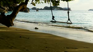 Download Free Stock Video Rope Swing On The Beach At Sunset Live Wallpaper