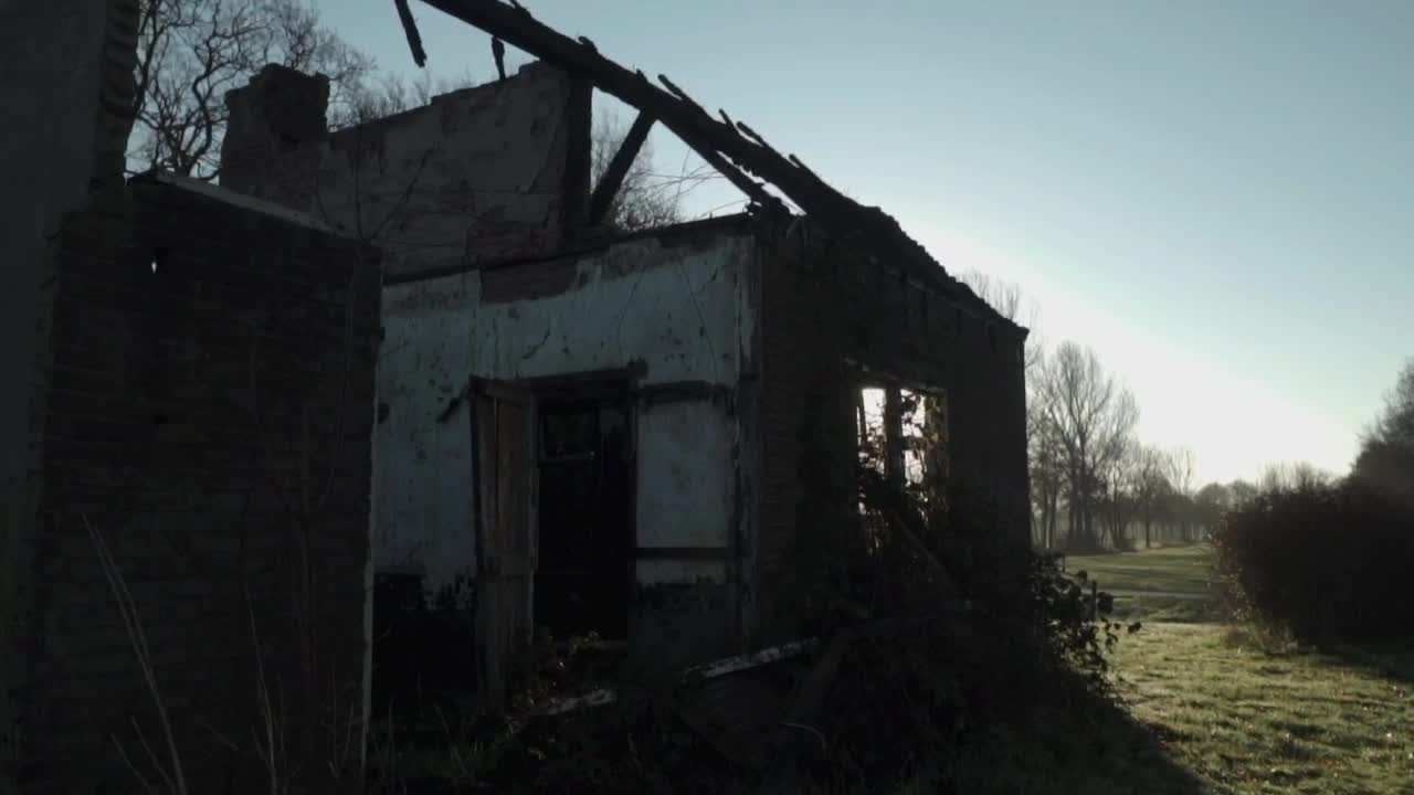 Download Free Stock Video Ruined House Without Roof In A Forest Live Wallpaper