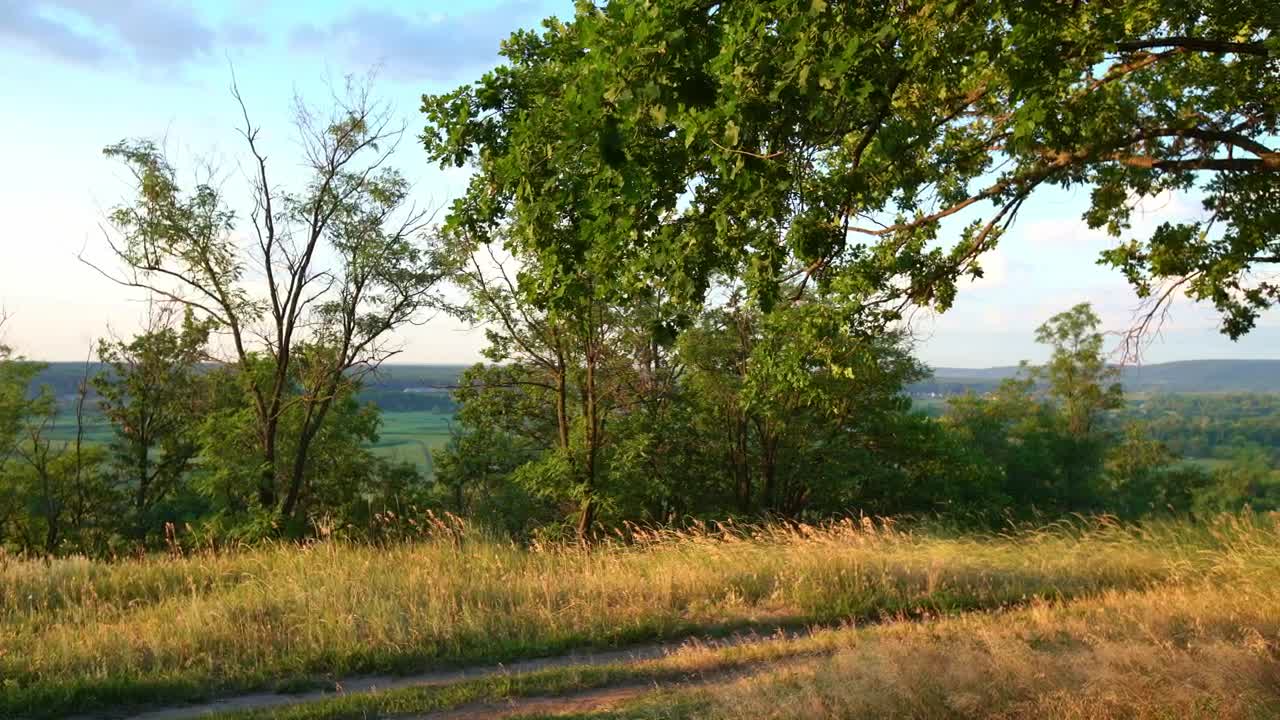 Download Free Stock Video Rural Road In The Grass Live Wallpaper