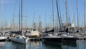 Download Free Stock Video Sailboats In A Harbor Live Wallpaper