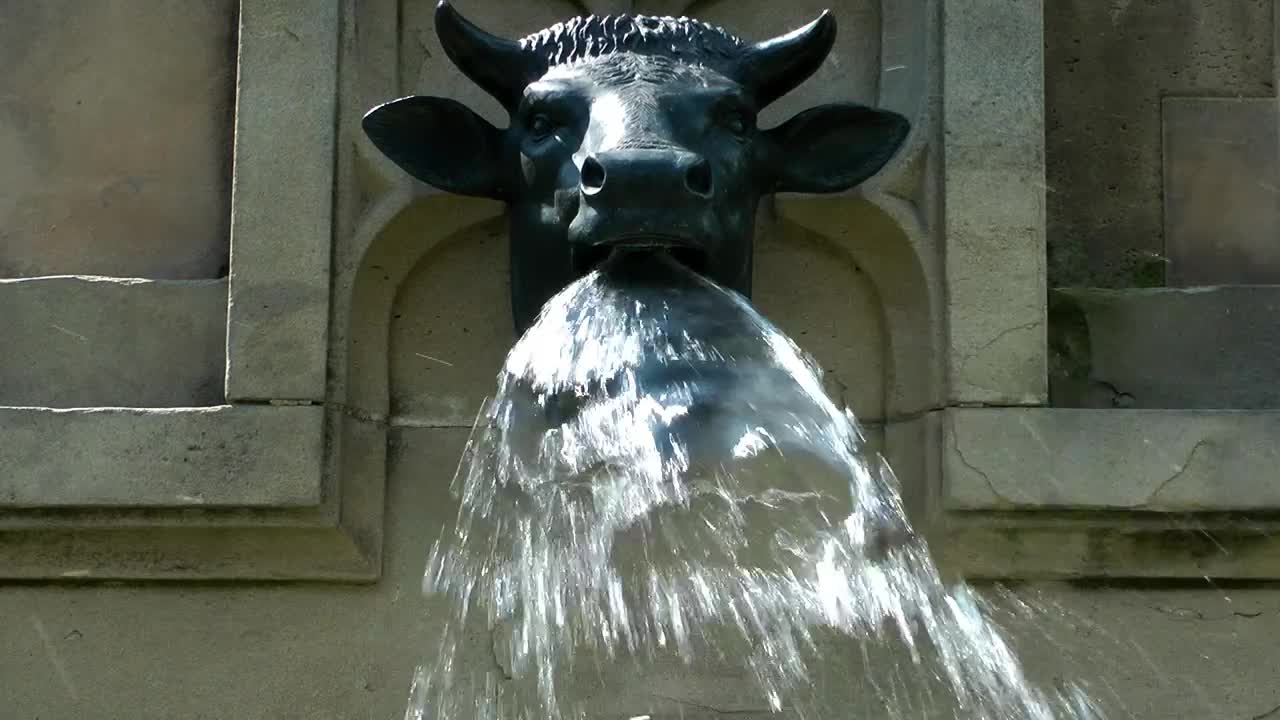 Download Free Stock Video Sculpture Of A Bull Drawing Water From Its Muzzle Live Wallpaper