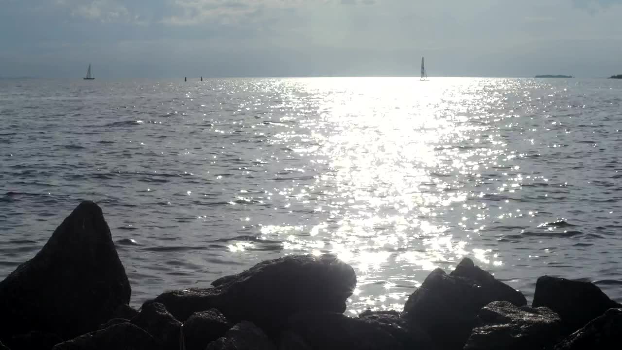 Download Free Stock Video Silver Ripples Across The Coast Live Wallpaper