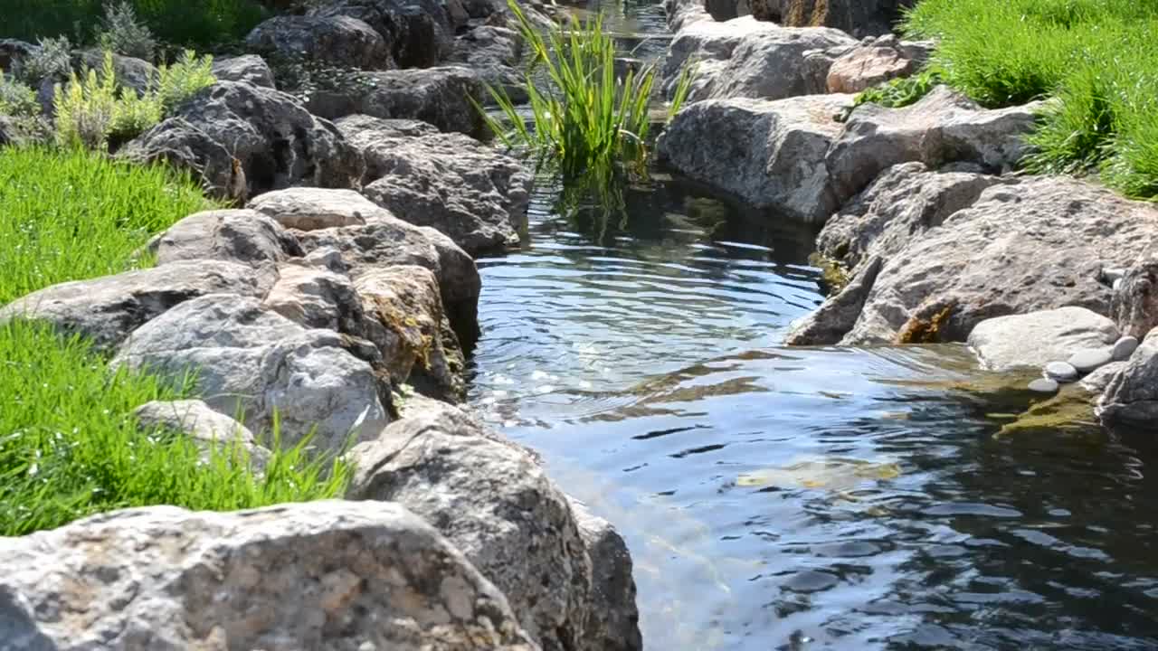 Download Free Video Stock Small Garden Stream Live Wallpaper