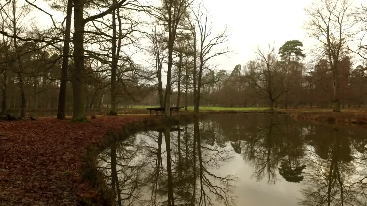 Download Free Video Stock Small Lake In An Autumnal Forest On A Cloudy Day Live Wallpaper