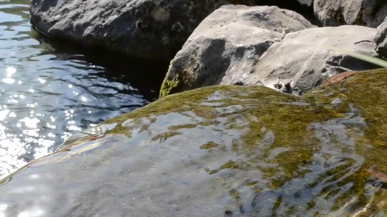 Download Free Video Stock Small Stream Running Over Rocks Live Wallpaper