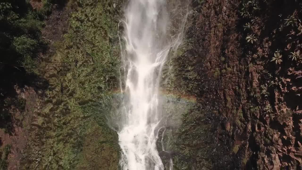 Download Free Video Stock Small Waterfall Live Wallpaper