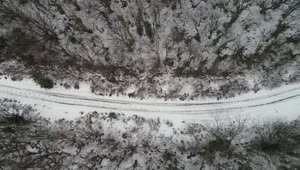Download Free Video Stock Snow Covered Tracks Between Woodland Live Wallpaper