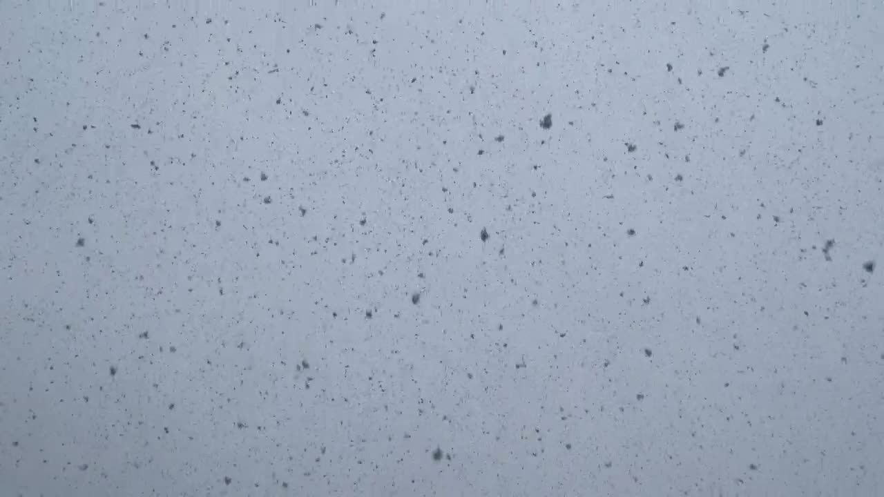 Download Free Video Stock Snow Falling Live Wallpaper