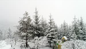 Download Free Video Stock Snowing In A Playground In The Forest Live Wallpaper