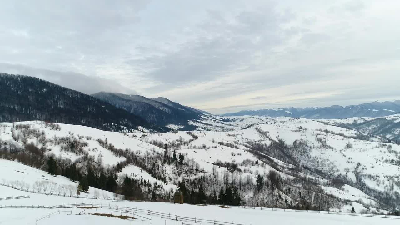 Download Free Video Stock Snowy Mountain Range With Pine Trees From Above Live Wallpaper