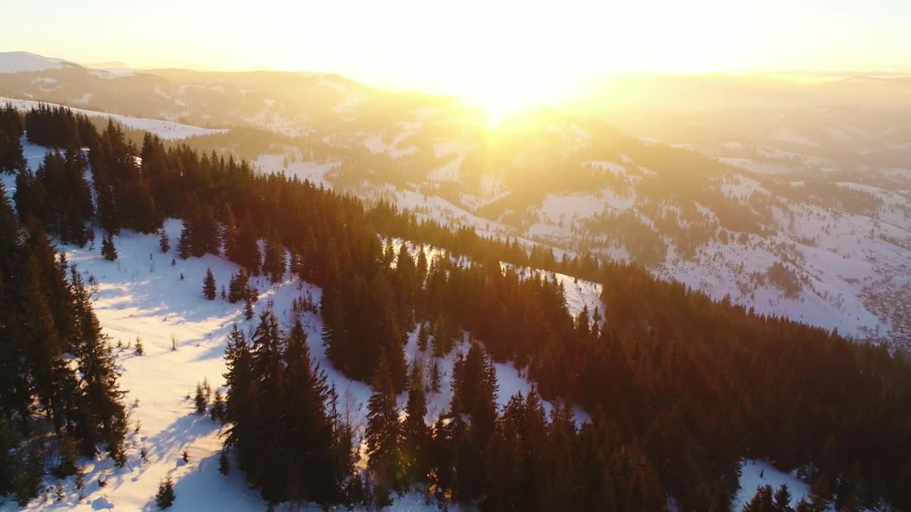 Download Free Video Stock Snowy Mountains With Pine Trees During Sunrise Live Wallpaper