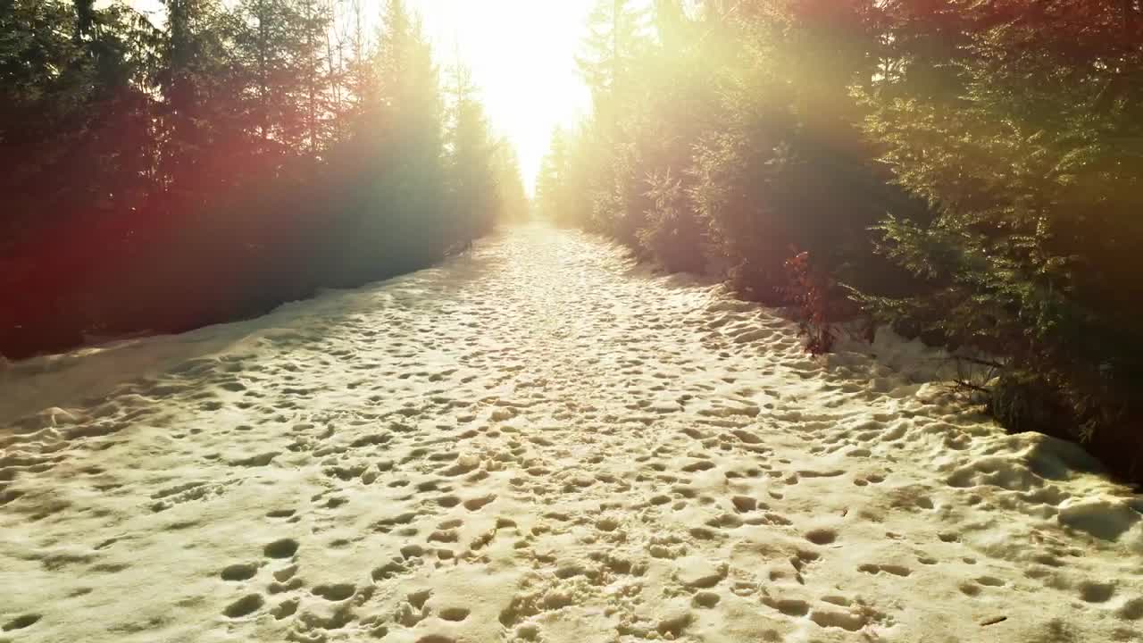 Download Free Video Stock Snowy Road With Footprints In A Snowy Forest Live Wallpaper