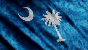 Download Free Video Stock South Carolina Flag In United States Of America Live Wallpaper