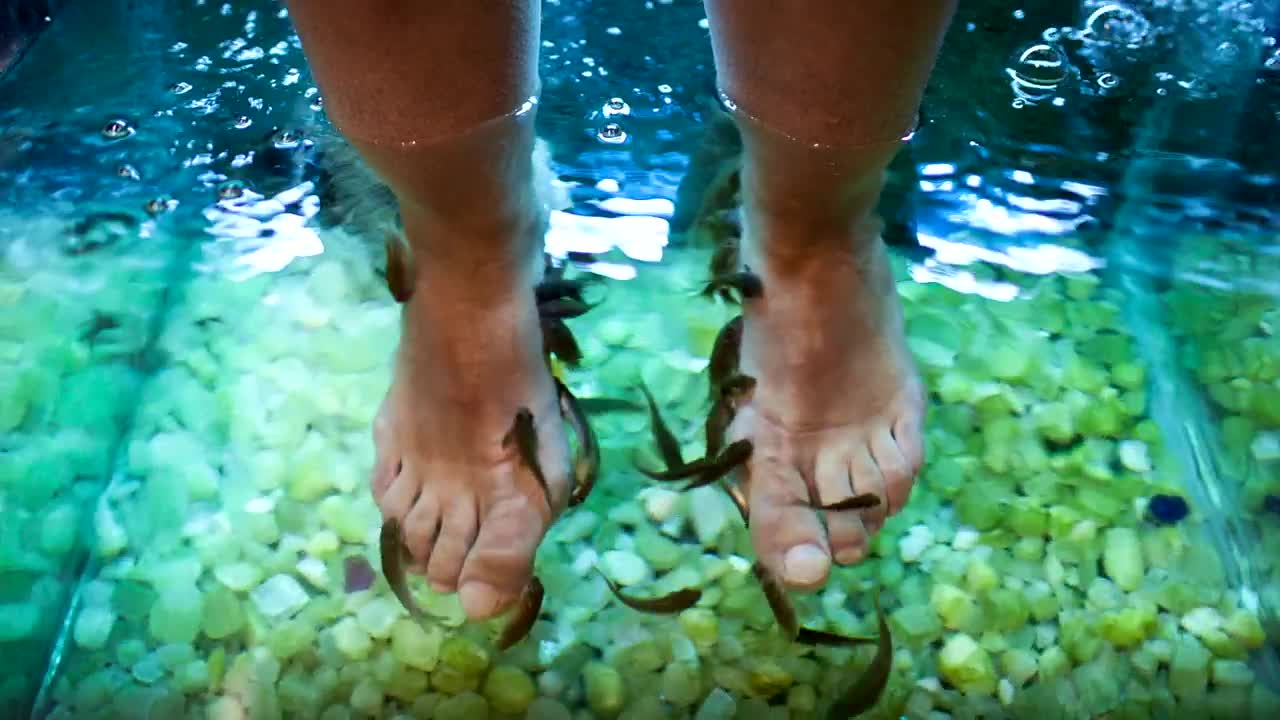 Download Free Video Stock Spa Foot Treatment Live Wallpaper