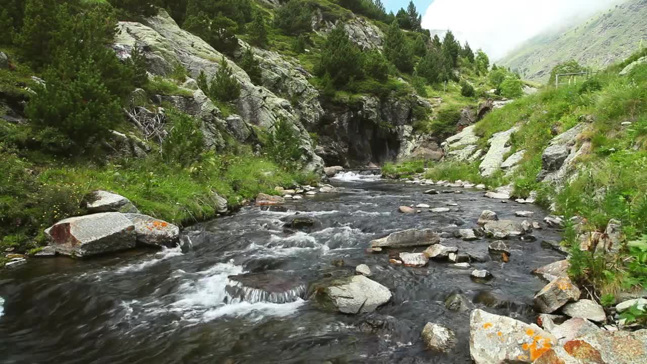 Download Free Video Stock Static Shot Of A Stream In A Forest Live Wallpaper