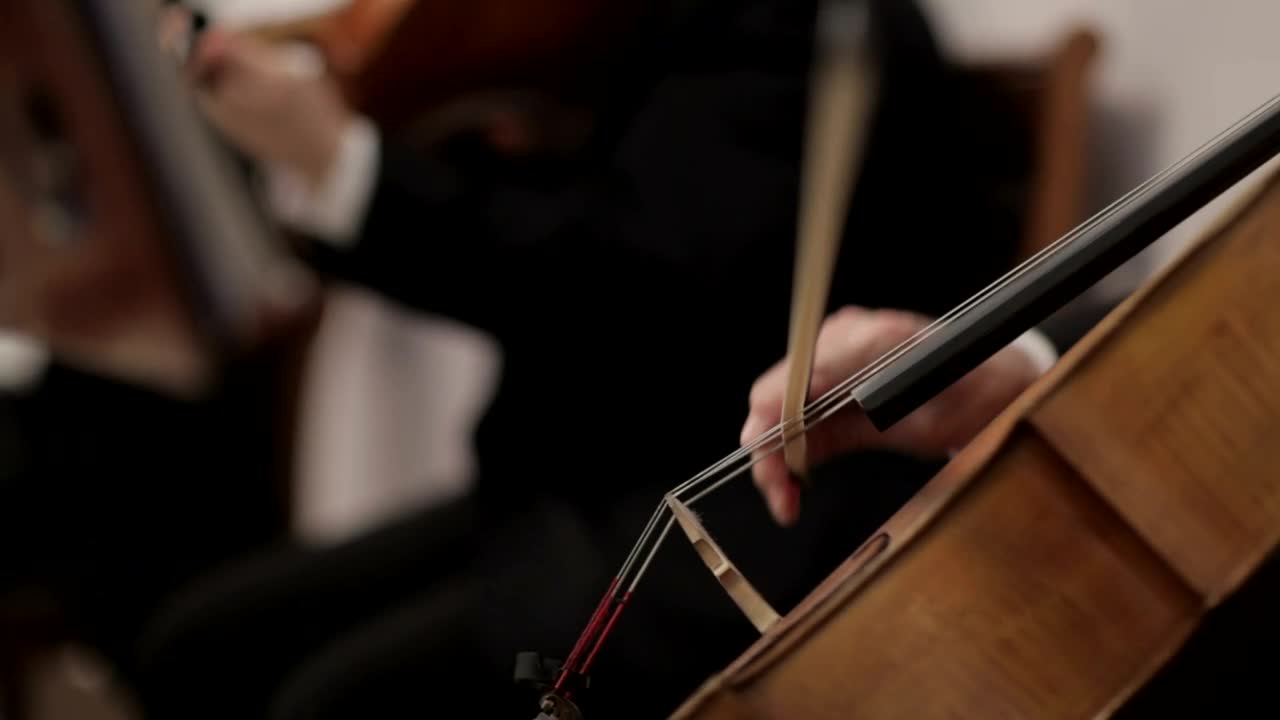 Download Free Video Stock String Orchestra Live Wallpaper