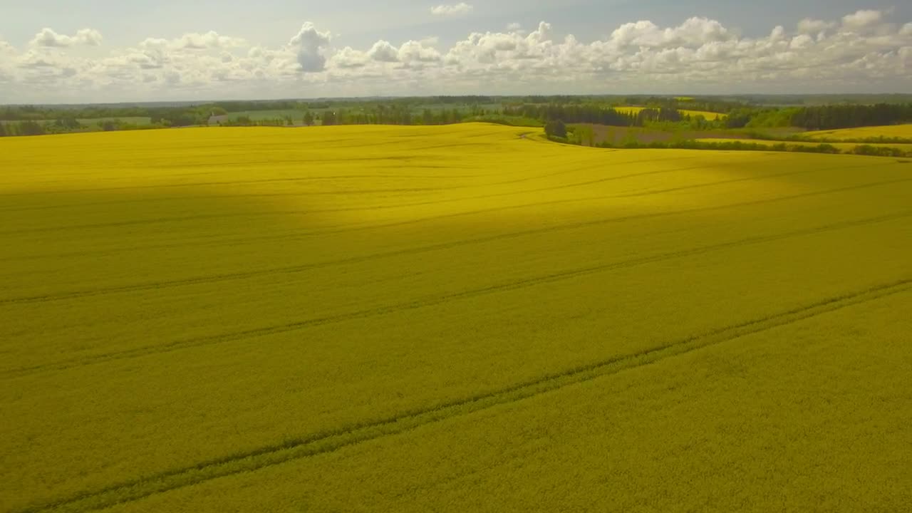 Download Free Video Stock Summer Fields Aerial Shot Live Wallpaper