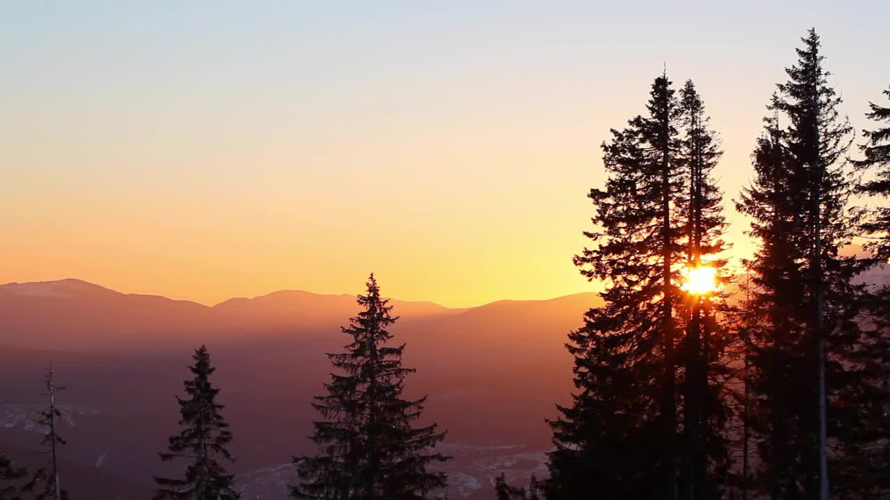 Download Free Video Stock Sun Rising In The Skyline In The Forest Live Wallpaper