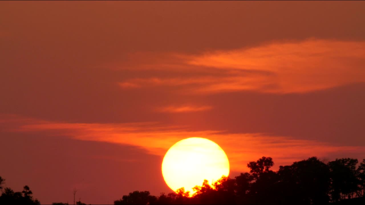 Download Free Video Stock Sun Setting Behind A Forest Live Wallpaper