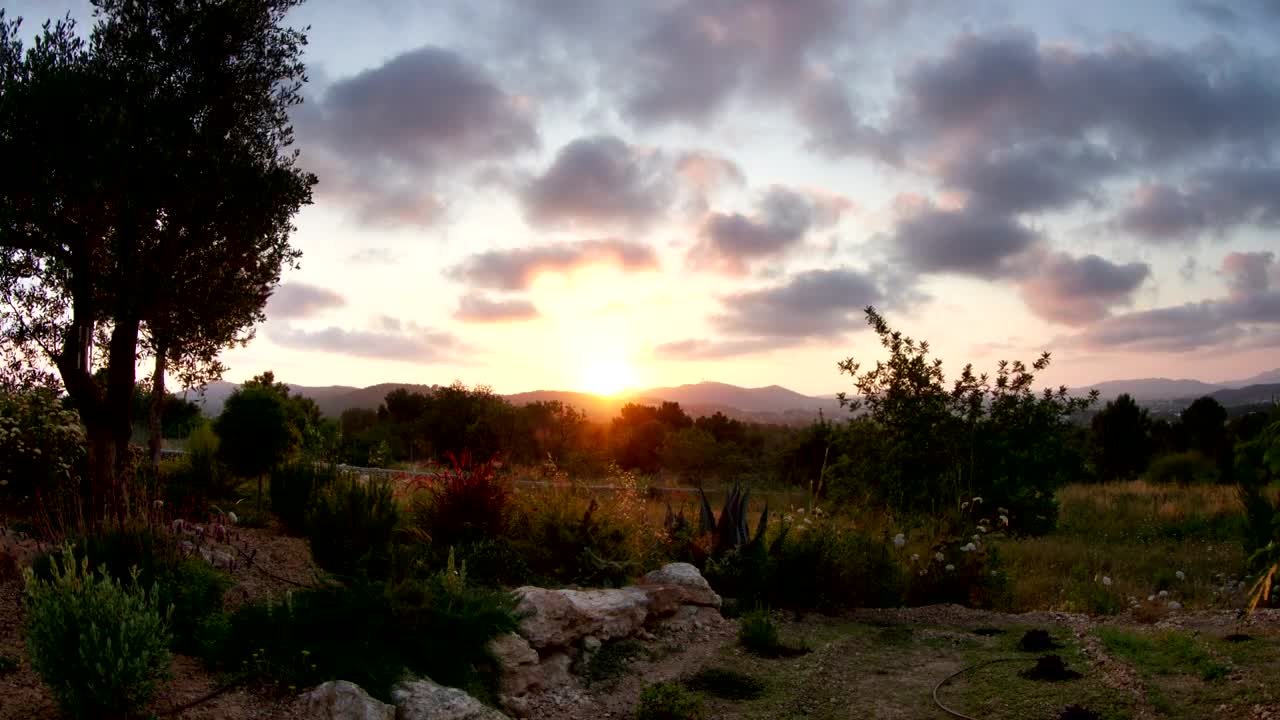 Download Free Video Stock Sun Setting Over A Garden Live Wallpaper