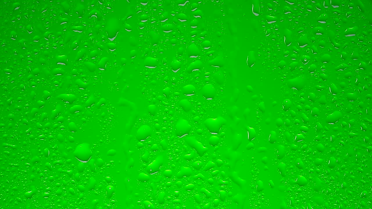 Download Free Video Stock transparent water drops on a green surface Live Wallpaper