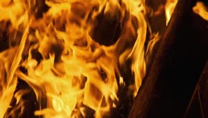 Download Free Video Stock texture of the flames of a campfire Live Wallpaper