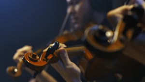 Download Free Video Stock three talented violinists playing together Live Wallpaper