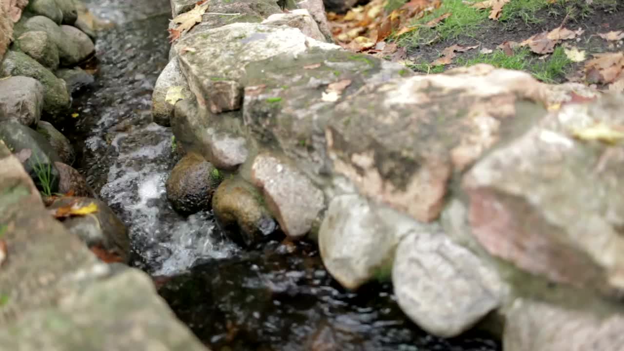 Download Free Video Stock tiny garden stream flowing Live Wallpaper