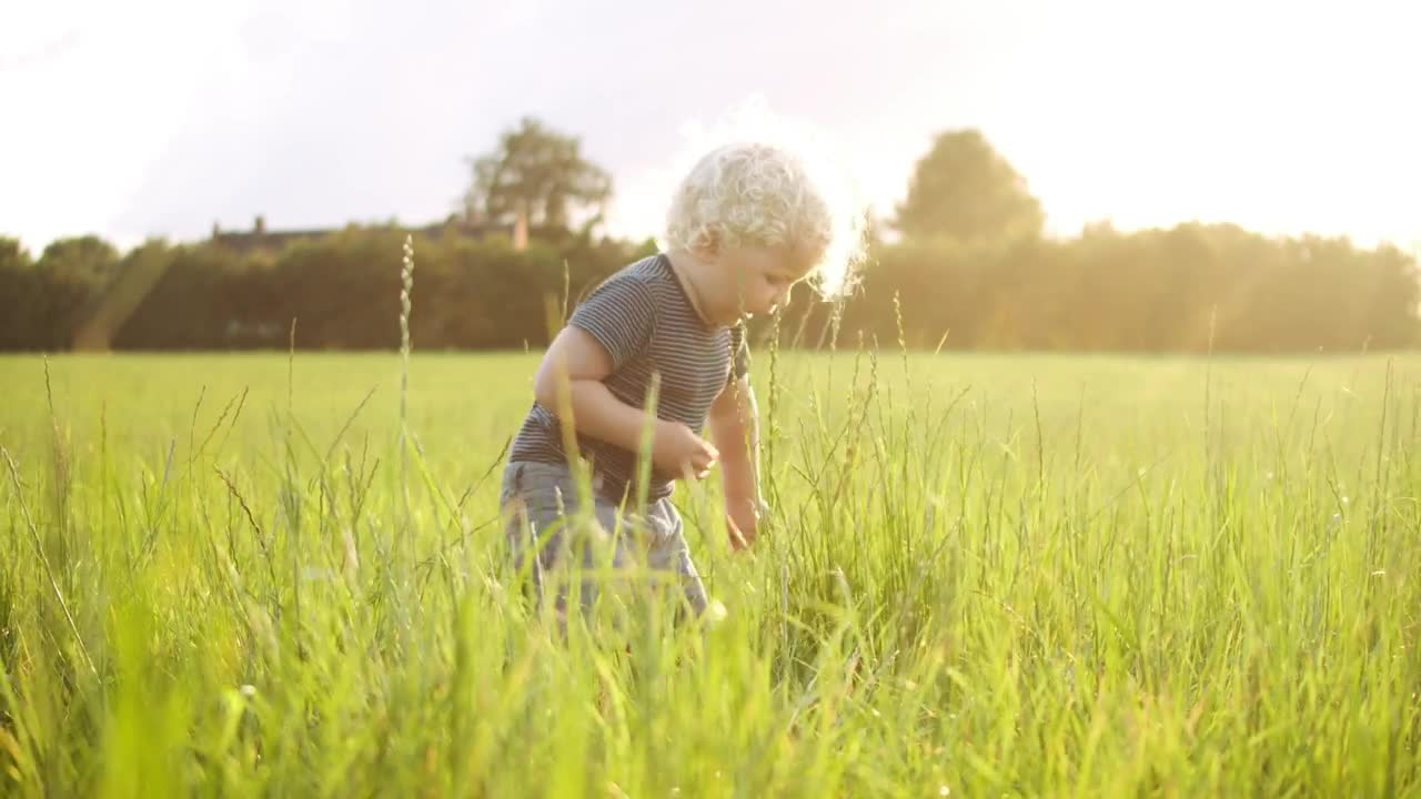 Download Free Video Stock toddler picking grass Live Wallpaper