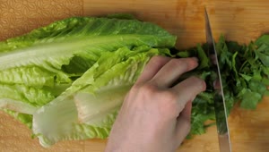 Download Free Video Stock top view of a person cutting lettuce Live Wallpaper