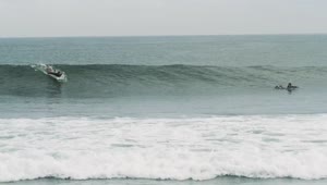 Surfer Live Wallpaper - free download