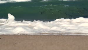 Download Free Stock Video Waves And Seaweed Washing Ashore Live Wallpaper