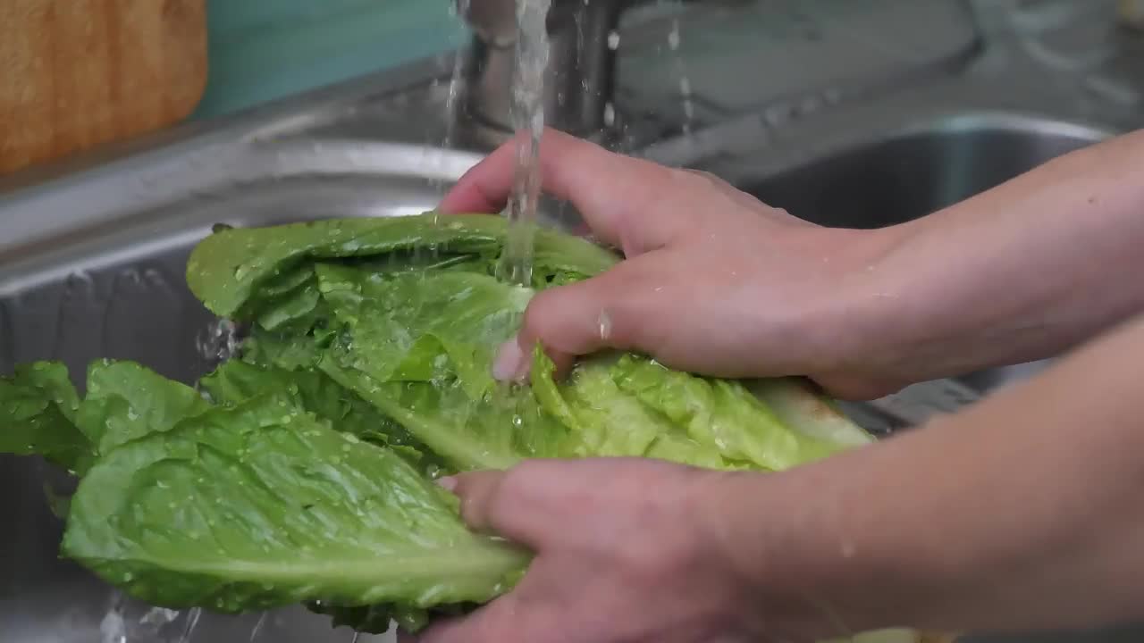 Download Free Stock Video Washing A Lettuce In The Kitchen Live Wallpaper