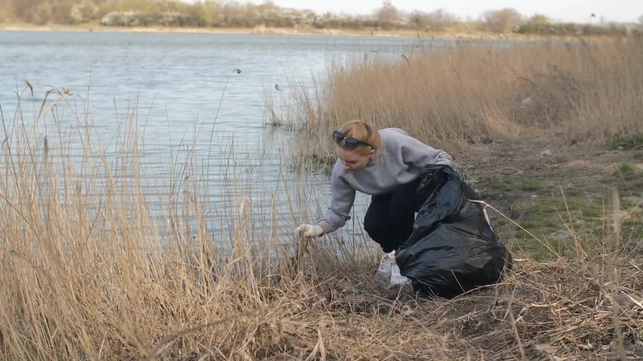 Download Free Stock Video Volunteer Cleaning Trash From Nature Live Wallpaper