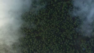 Download Free Stock Video View Above The Clouds That Cover A Large Forest Live Wallpaper