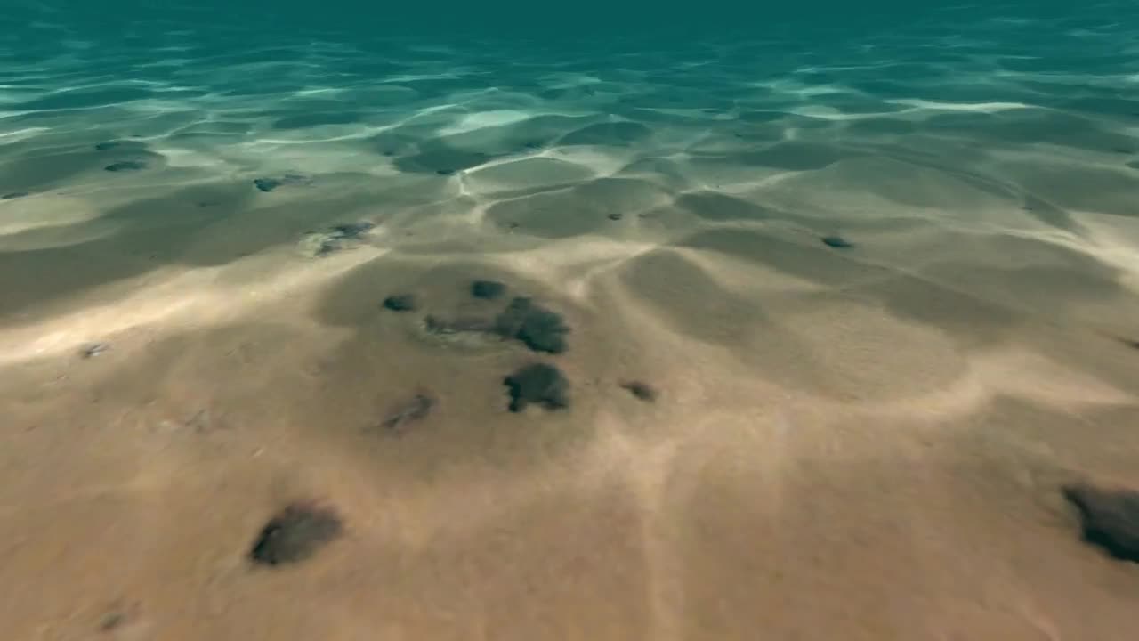 Download Free Stock Video Underwater D Beach With Sand And Rocks Live Wallpaper