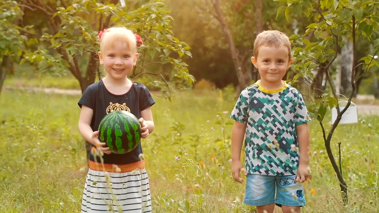 Download Free Stock Video Two Little Boys Waving At The Camera Live Wallpaper