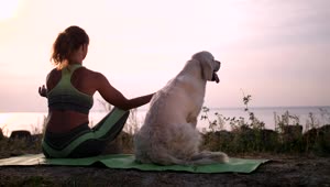 Download Free Stock Video Young Woman Meditating With Her Dog Aside Near Sea Live Wallpaper