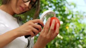 Download Free Stock Video Young Woman Looks At A Tomato Through A Magnifying Glass Live Wallpaper