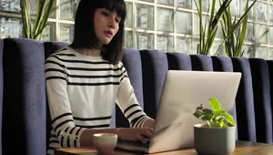 Download Free Stock Video Woman Working With Her Laptop Live Wallpaper