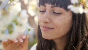 Download Free Stock Video Woman Smelling A Daisy In A Garden Live Wallpaper
